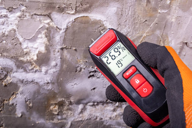 Professional Mold Removal in Forest Grove, OR