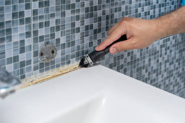 Best Professional Mold Removal  in Fest Grove, OR